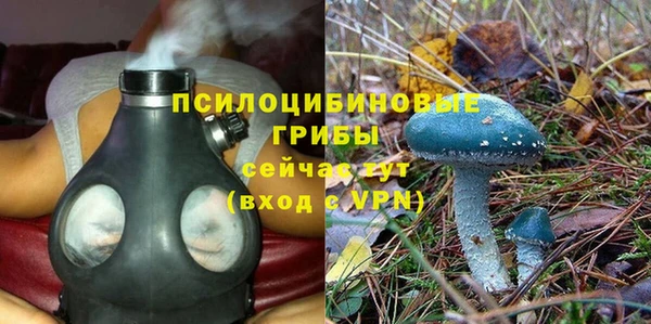 apvp Абаза