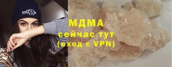 мдпв Краснослободск
